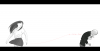 202003121312.png